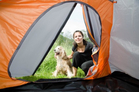 Woman Looking Inside a Camping Tent with Her Cocker Spaniel Dog in Switzerland