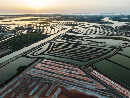 Saline ponds at the salt works near Chiclana de la Frontera. The orange-red colour depends on the