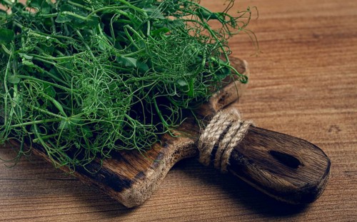 A rustic wooden cutting board holds a pile of fresh microgreens, showcasing vibrant colors and