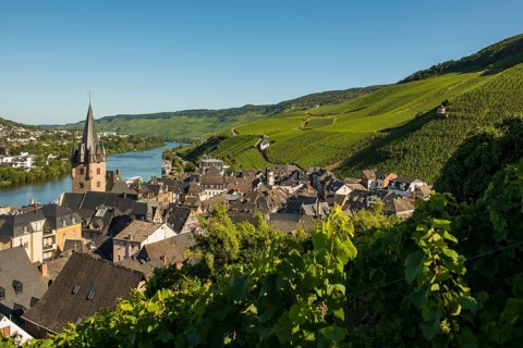 Picturesque village by the river and in the vineyards, Bernkastel-Kues, Moselle,