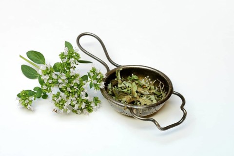 Dried oregano in a tea strainer and a sprig of flowering oregano, Origanum vulgare