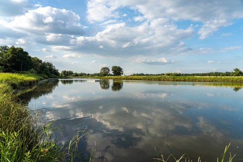 The Elbe near Buch, a district of Tangermünde, Saxony-Anhalt, Germany, Europe