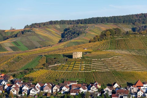 Landscape with vineyards in autumn, a small village lies at the foot of the hills, Y-Burg, Stetten,