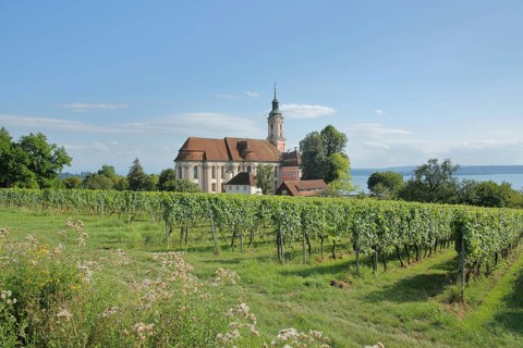 Baroque basilica with vineyards, landscape, nature, view of lake, view, pilgrimage church, Birnau,