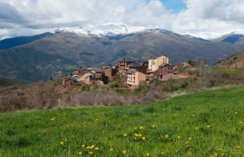 Small mountain village in front of snow-capped mountains, surrounded by green meadow and blooming