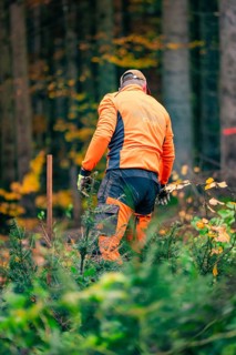 Forestry worker in orange clothing plants trees in autumn forest, tree planting campaign, Waldbike