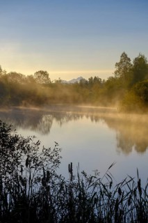 Sunrise with fog, Mühlweiher at Reutberg Monastery, Sachsenkam, Tölzer Land, Alpine foothills,