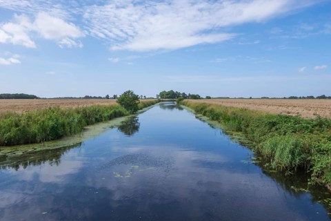 East Frisian Landscape, Krummhörn, East Frisia, Lower Saxony, Germany, Europe