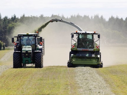 Forage harvesting on an organic farm A forage harvester transports the chopped forage grass into a