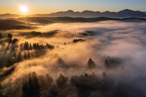 Aerial view of trees in fog in front of mountains, sunrise, summer, view of Benediktenwand and