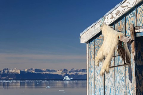 Polar bear skin hanging on house, Inuit settlement on fjord in front of mountains, sunny,
