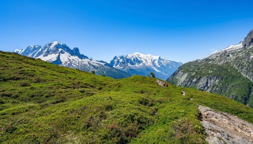 Mountain panorama with glaciated mountain peaks, Aiguille Verte with Aiguille du Midi and Mont