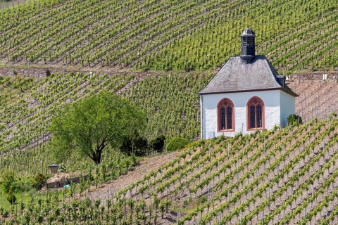 Kesselstatt Chapel in the vineyards near Kröv, burial chapel, Moselle, Rhineland-Palatinate,