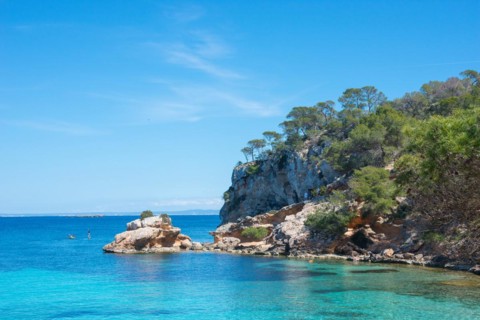 Clear blue sea surrounded by bright, rocky cliffs and green trees, pine trees (Pinus) under a