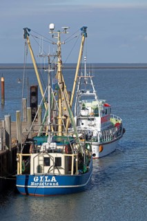 Fishing cutter, SAR boat, harbour, Strucklahnungshörn, Nordstrand, North Frisia,