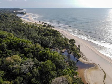 Beach in Loango National Park, Parc National de Loango, Atlantic Ocean, aerial view,