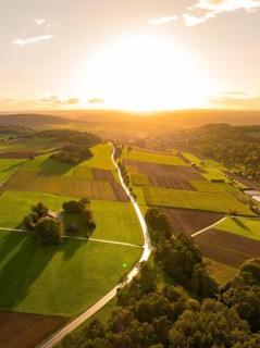 Extensive fields and trees in the glowing red light of the sunset with reflecting sunlight,