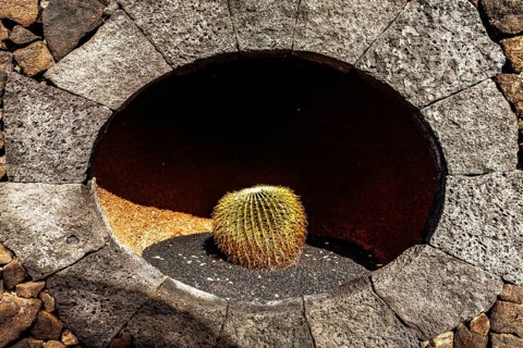 2016, Guatiza, Lanzarote, Jardin de Cactus by Cesar Manrique, ESP, Spain, Canary Islands, Canary