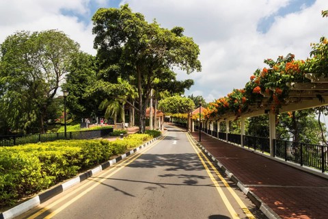 Asphalt road in the park in Singapore