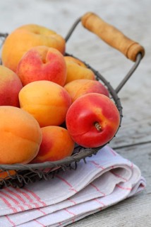Apricots (Prunus armeniaca) in basket