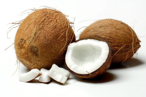 Coconuts (Cocos nucifera) , Coconut