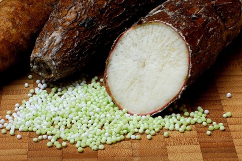 Cassavaroots and tapioca beads, roots (Manihot esculenta) tapioca beads, pearl tapioca, starch,