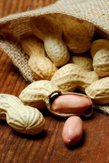 Peanuts or groundnuts (Arachis hypogaea)