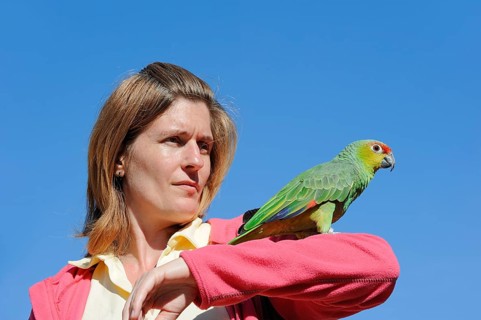 Woman with ecuador amazon (Amazona autumnalis lilacina), France, Europe
