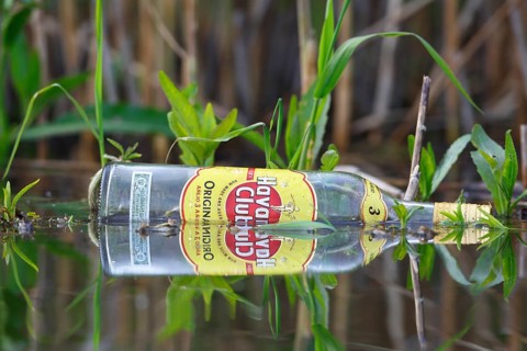 Environmental waste in the water, glass bottle in nature, Peene Valley River Landscape nature park