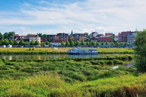Elbe meadows in Riesa