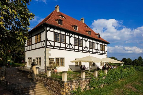 Open Winery Day in Saxony