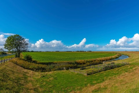 Nordstrand peninsula, agriculture, fields, ditch, inland dike, tree, pen, North Frisia,