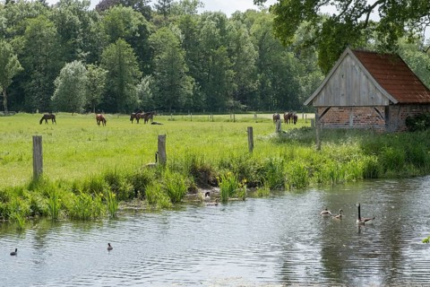 Münstersche Aa, Havixbeck, Münsterland, North Rhine-Westphalia, Germany, Europe