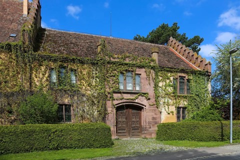 Dotternhausen Castle, Cotta's Castle, Dotternhausen Castle, historic building, aristocratic