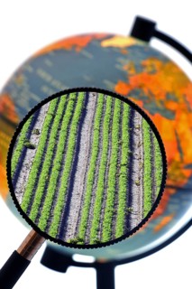 Rows of crops in field seen through magnifying glass held against illuminated terrestrial globe