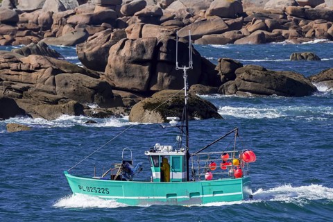 Typical fishing boat from Brittany called caseyeur, fileyeur sailing along the Côte de granit rose,