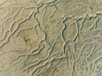 Network of dry channels and streams at low tide, in the marshland of the Bahía de Cádiz, aerial