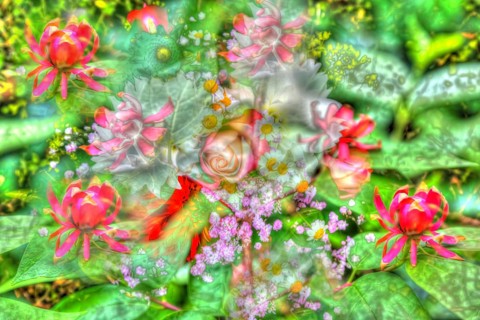 Rose (Rosa), oil painting, red and pink flowers creative, different plants mixed, artistic shot,