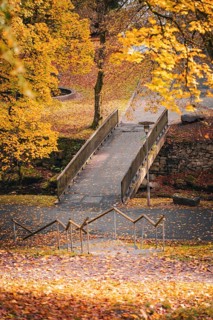 Bridge over river in spa gardens in autumn, Bad Wildbad, Black Forest, Germany, Europe