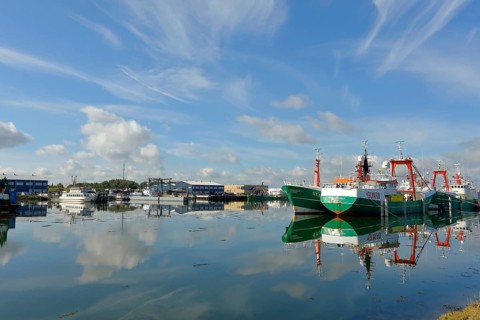 Harbour with fishing boats, Lauwersoog, Lauwersmeer National Park, Holland, Netherlands