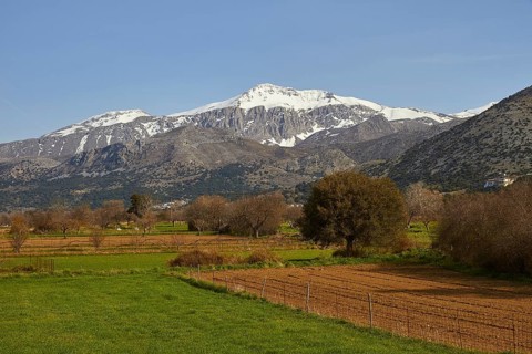 Green meadows, fields, trees, spring, Dikte massif, snow-capped mountains, Lassithi plateau,