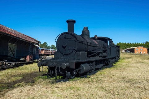 Old steam trains from the Dorrigo railway line, Unesco world heritage sight Dorrigo National Park,