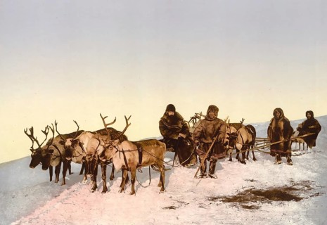 On the road with a reindeer sleigh, Arkhangelsk, Russia, c. 1890, Historic, digitally enhanced