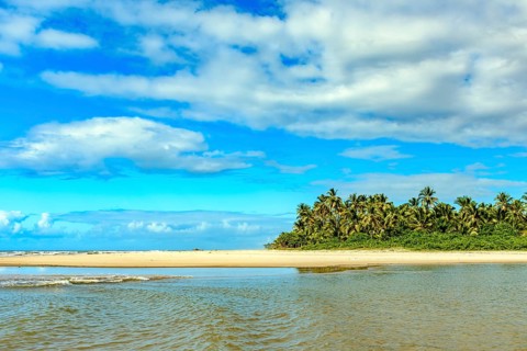 Beautiful Sargi beach with its coconut trees in the city of Serra Grande on the coast of Bahia