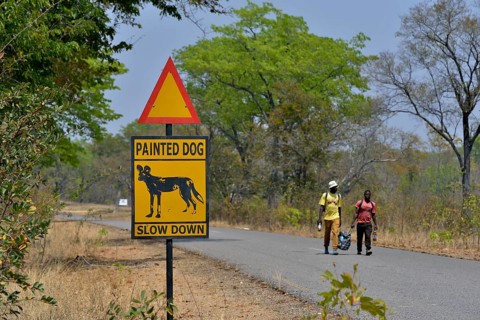 Warning Sign Painted dog, Attention African Wild Dogs, Hwange National Park, near Hwange,