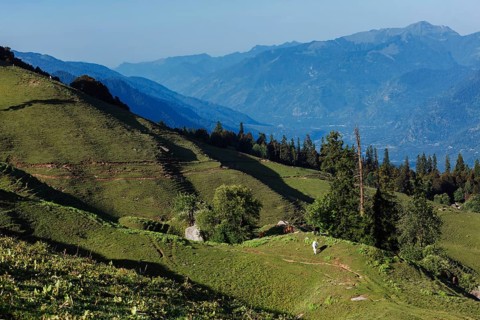 Horses grazing in Himalayas mountains. Near Manali, above Kullu Valley, Himachal Pradesh, India,