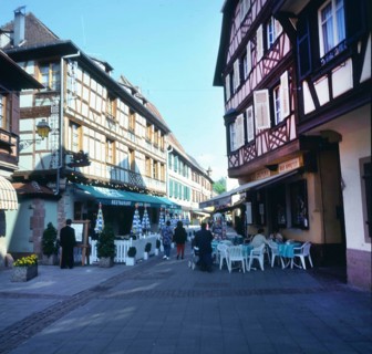 A bicycle tour through the Alsace, here on 11.05.1994 near Kayserberg, on a vineyard route is not