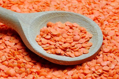 Red lenses (Lens esculenta) , dish lenses