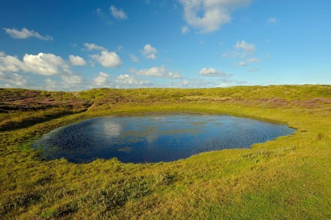 Pond, nature reserve De Bollekamer, part of the National Park Dunes of Texel, island of Texel,
