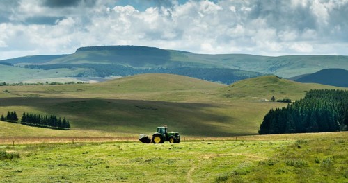 Cezallier plateau. Farmer rowing up hay in the Auvergne volcanoes regional natural park, Puy de